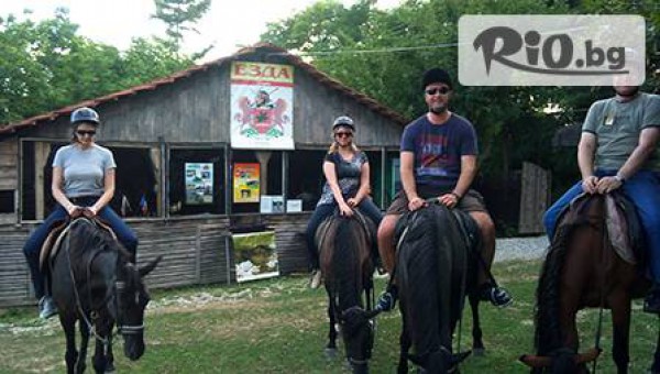 конна база Здравец - thumb 3