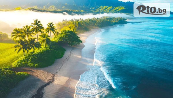 Арена Холидейз - thumb 18