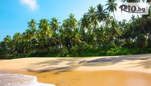 Арена Холидейз - thumb 19