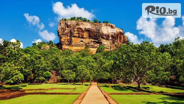 Арена Холидейз - thumb 21