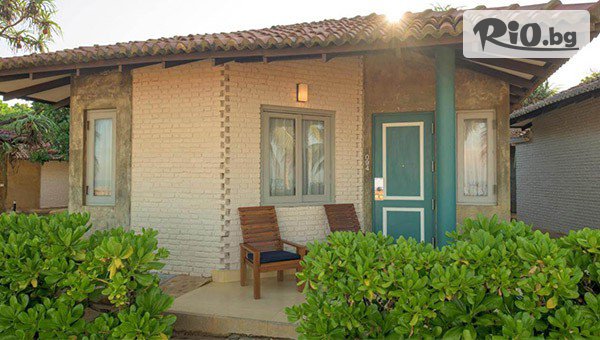 Арена Холидейз - thumb 5