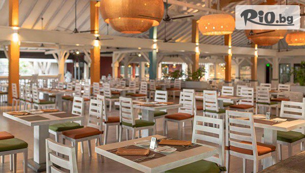 Арена Холидейз - thumb 11