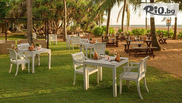 Арена Холидейз - thumb 6