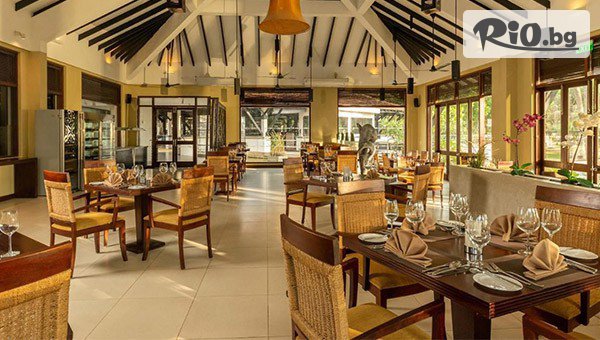 Арена Холидейз - thumb 12