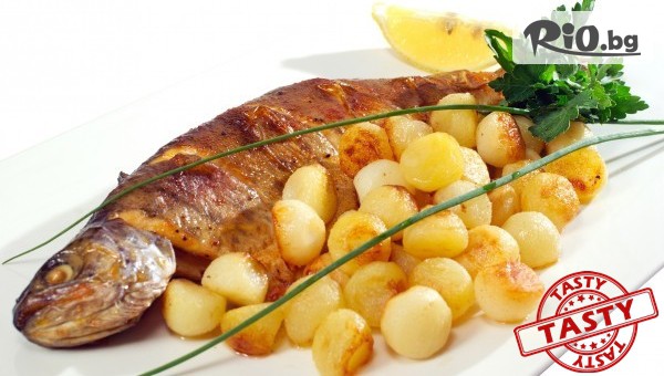 TASTY Restaurant - thumb 2