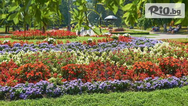 Глобул Турс - thumb 3