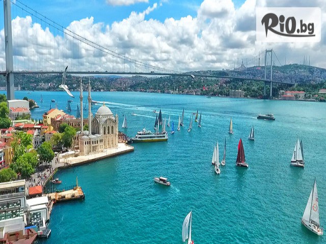 Джуанна Травел - thumb 1