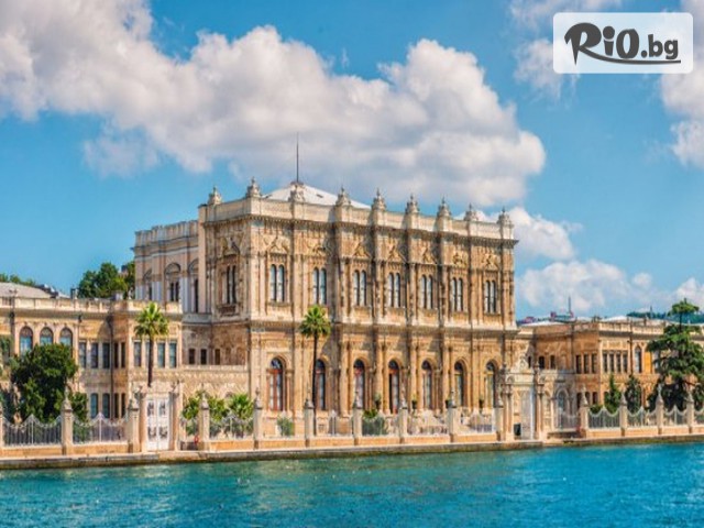 Джуанна Травел - thumb 4