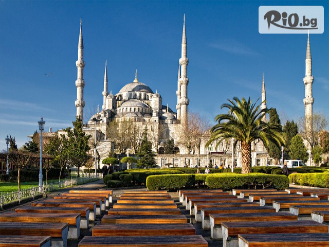 Джуанна Травел - thumb 5