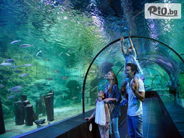 Джуанна Травел - thumb 7