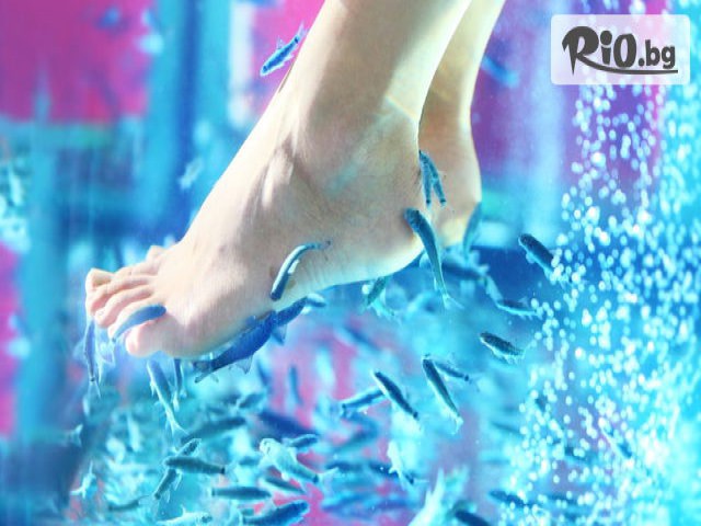 Солна стая Salt World - thumb 11 Солна стая Salt World - thumb 11