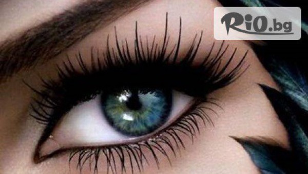 Студио Теди - thumb 2