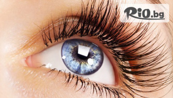 Студио Теди - thumb 3