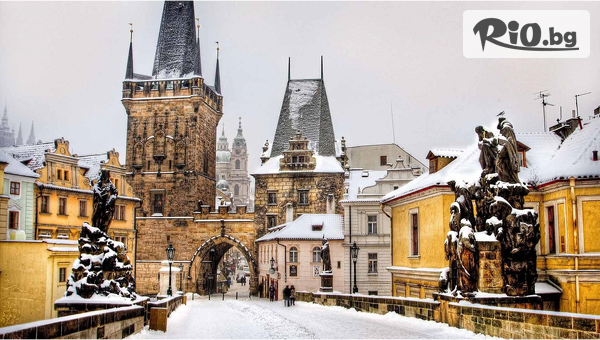 Солвекс - thumb 4