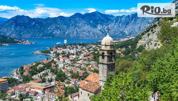 Вени Травел - thumb 5