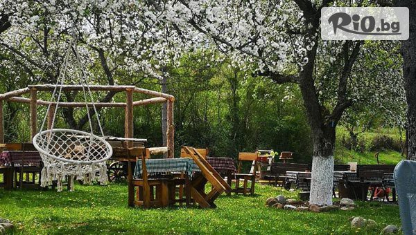 Бояна Тур - thumb 4