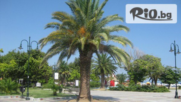 ЕКО ТУР КЪМПАНИ ООД - thumb 3