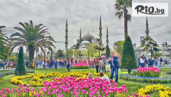 Рикотур - thumb 3