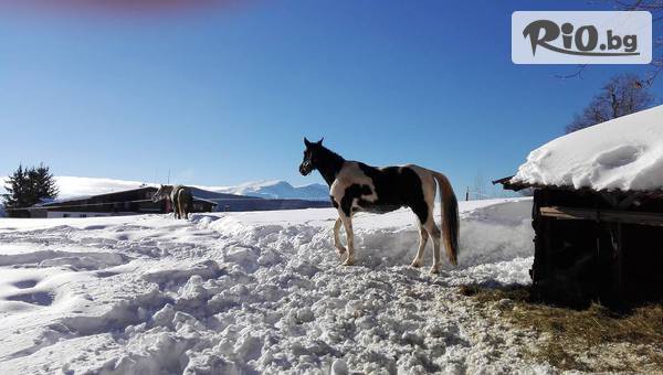 Хотелски комплекс Еделвайс - thumb 5