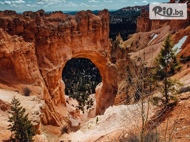 Премио Травел - thumb 21 Премио Травел - thumb 21