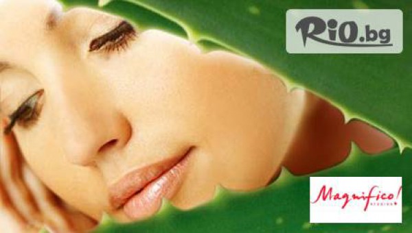 Магнифико - thumb 2