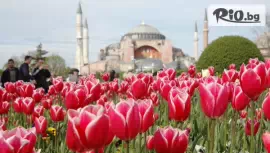 Фестивала на лалето в Истанбул #1