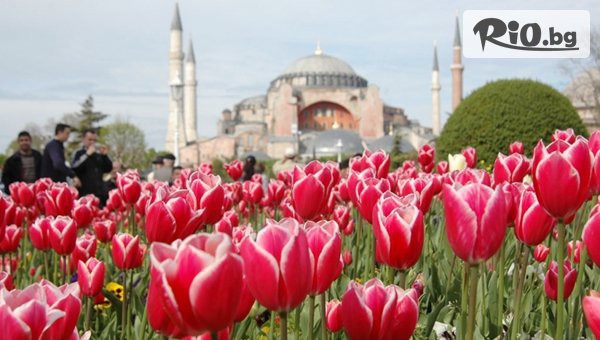ТОП ЦЕНА: Уикенд Екскурзия за Фестивал на Лалето в Истанбул! 3 нощувки със закуски в хотел 3* + автобусен транспорт, екскурзовод и посещение на Одрин
