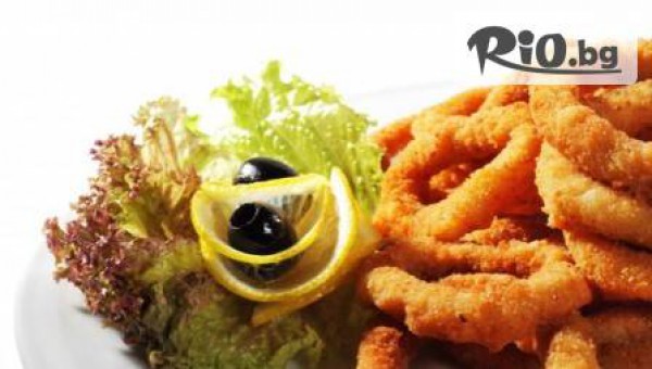 Пломари, Калмари и айран за 5,90 лв. или 1кг. сач по избор за двама само в Calypso Bar & Dinner