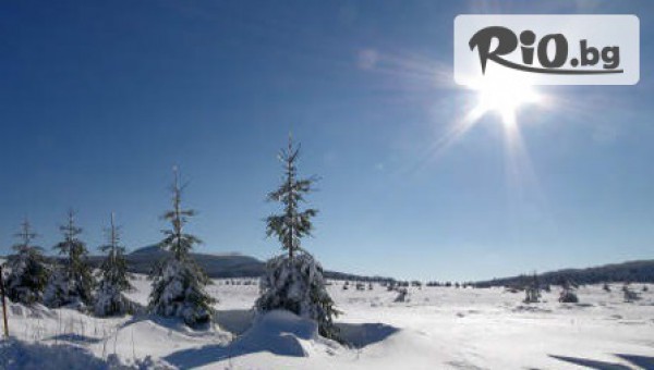 хотел Sunny Ateo Слънчев бряг - thumb 3