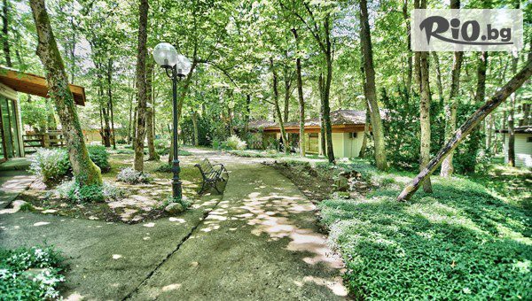 Вили Лотос - thumb 6