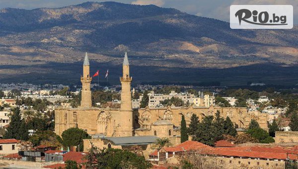 Арена Холидейз - thumb 3