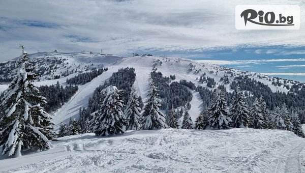 Джуанна Травел - thumb 3