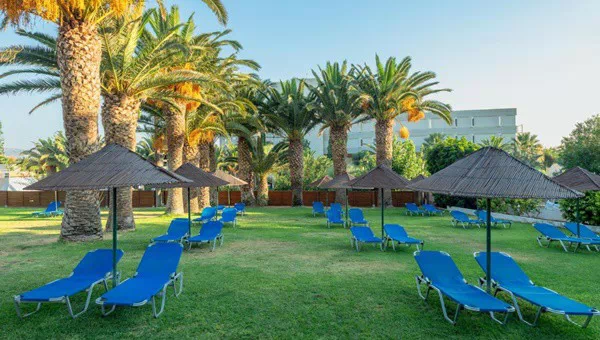 Солвекс - thumb 3