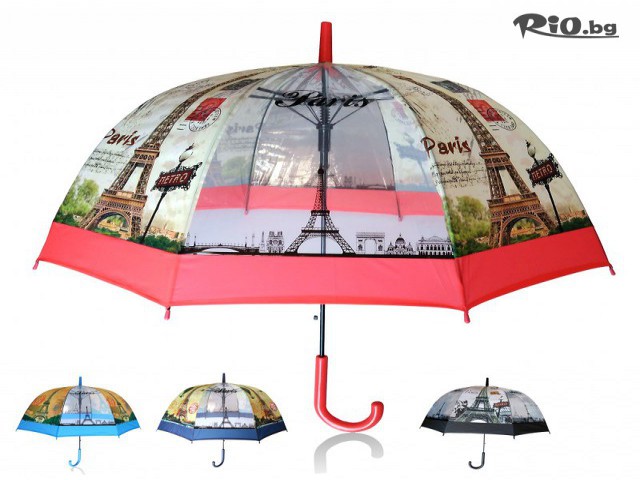 Svito Shop - thumb 1 Svito Shop - thumb 1