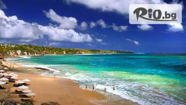 Рехабилитатор - thumb 4