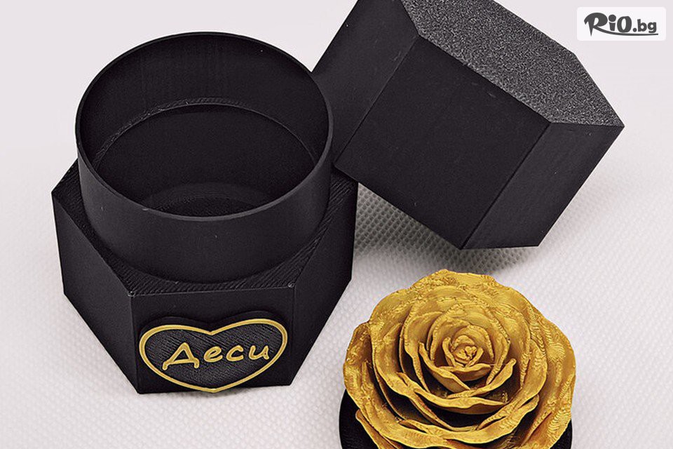 3DGifts - thumb 4 3DGifts - thumb 4