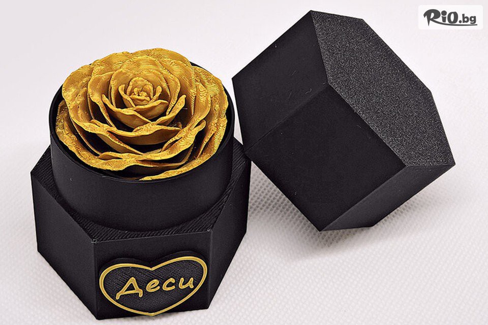 3DGifts - thumb 5 3DGifts - thumb 5