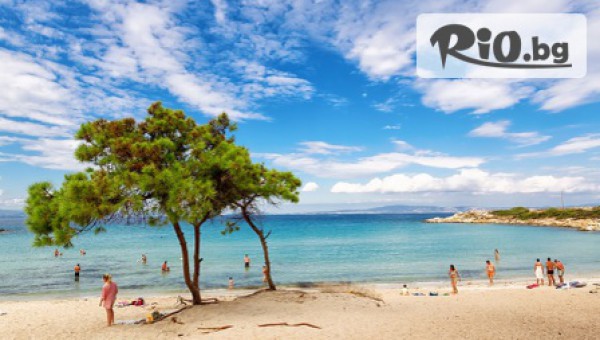 Комфорт Травел - thumb 7