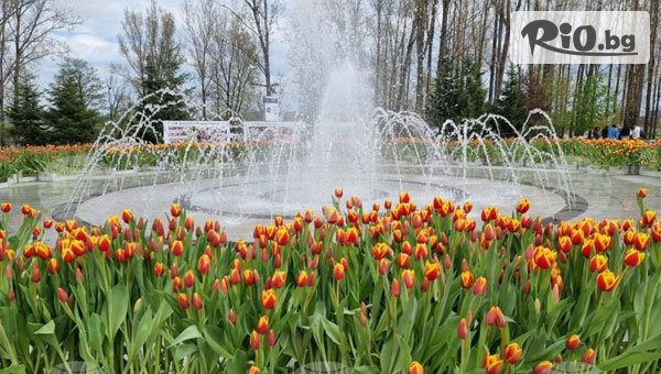 Рикотур - thumb 2