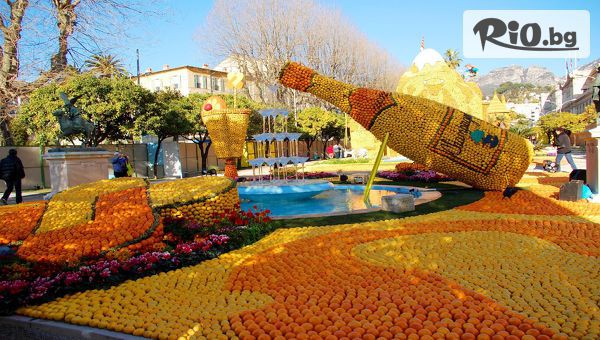 Bella Travel - thumb 6