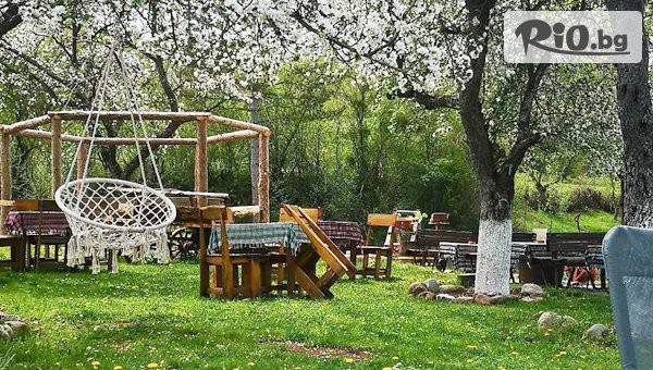 Бояна Тур - thumb 3