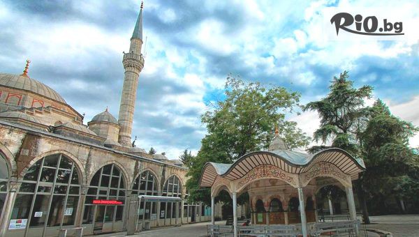 Молина Травел - thumb 6