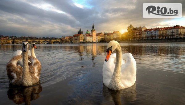 Еко Тур Къмпани - thumb 3