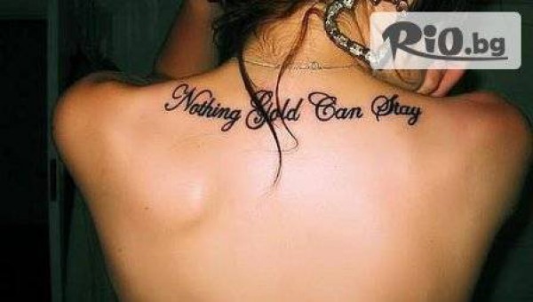 Студио "Перфект" - thumb 4