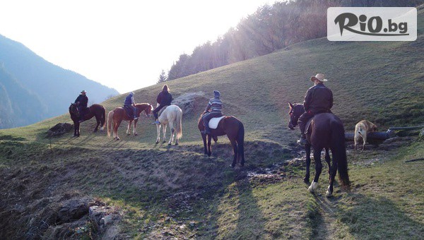 Конна езда Ризов - thumb 4