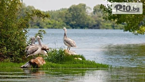 ТА Поход - thumb 4