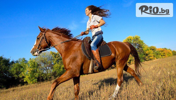 Конна база София - Юг - thumb 2