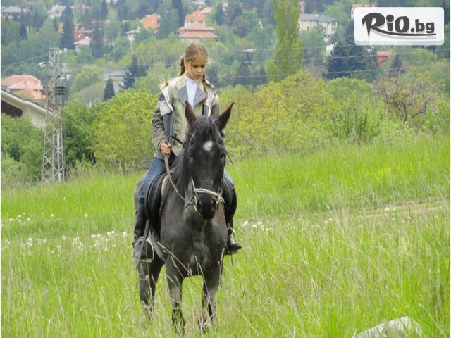 Конна база София - Юг - thumb 3 Конна база София - Юг - thumb 3