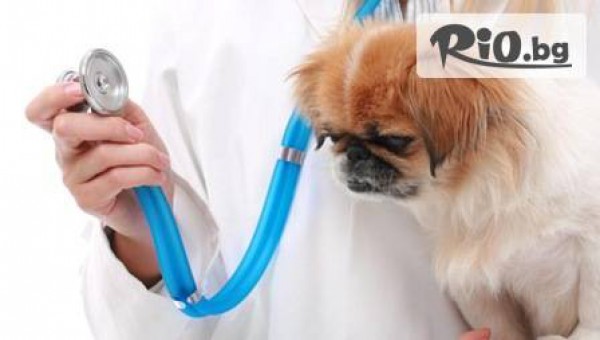 Ветеринарна клиника д-р Механджиев - thumb 3