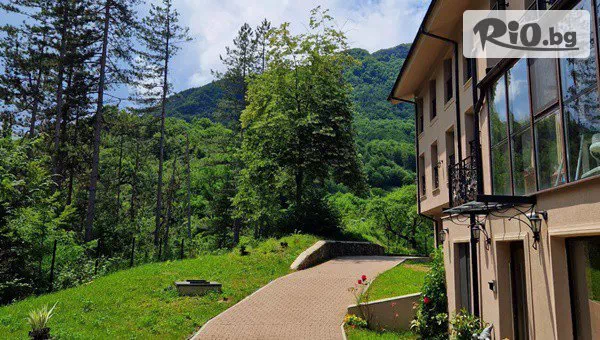 Арборетум Вила & СПА - thumb 2